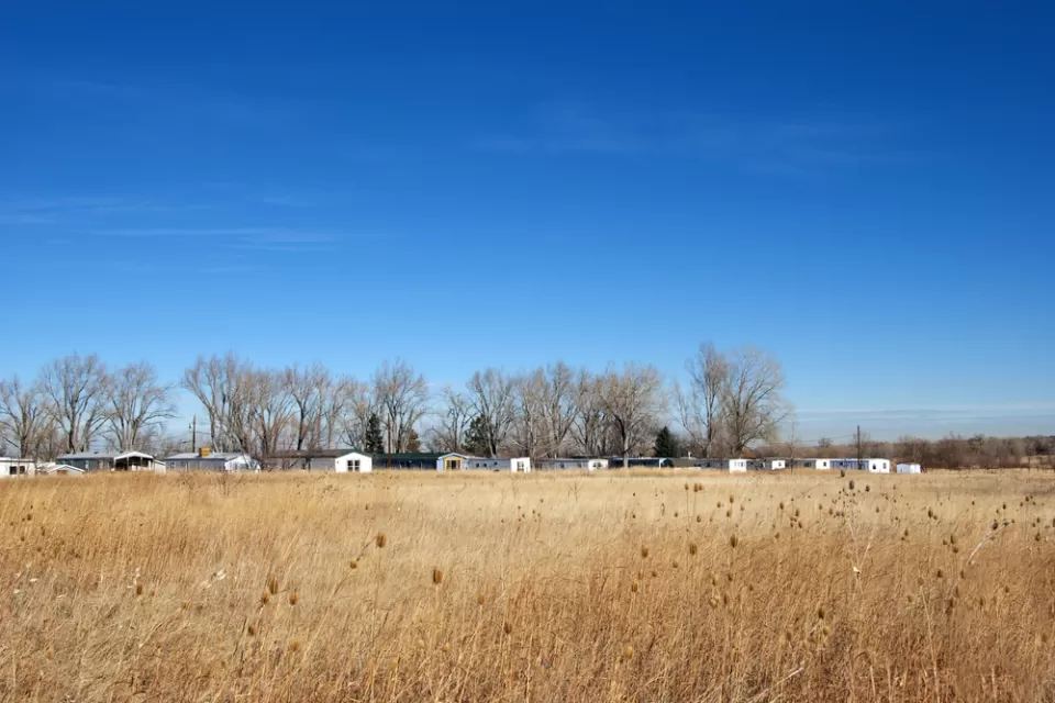 Trailer park and line of bare winter trees in the distance over a golden field on the Colorado prairie.